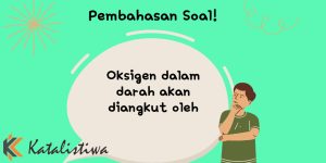 Oksigen dalam darah akan diangkut oleh 1 Oksigen dalam darah akan diangkut oleh