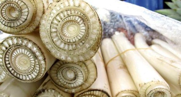 Kandungan Batang Pisang Didalamnya Banyak Manfaatnya