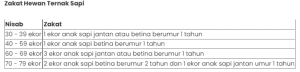 Zakat Berupa Ternak Sapi Digolongkan Sebagai Zakat 3 Screenshot 96
