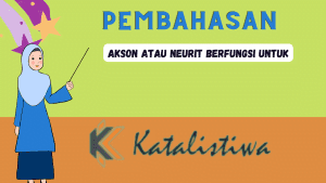 Akson atau neurit berfungsi untuk