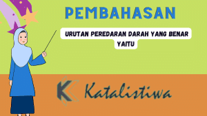  Urutan peredaran darah yang benar yaitu