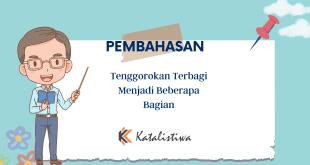 Tenggorokan Terbagi Menjadi Beberapa Bagian