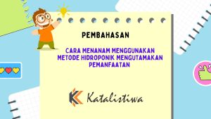 Cara Menanam Menggunakan Metode Hidroponik Mengutamakan Pemanfaatan 