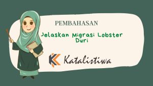 Jelaskan Migrasi Lobster Duri