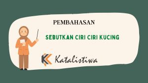 Sebutkan Ciri Ciri Kucing