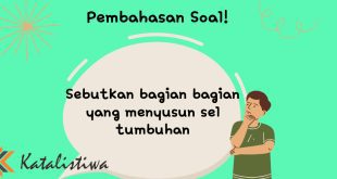 Sebutkan bagian bagian yang menyusun sel tumbuhan
