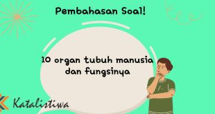 10 organ tubuh manusia dan fungsinya