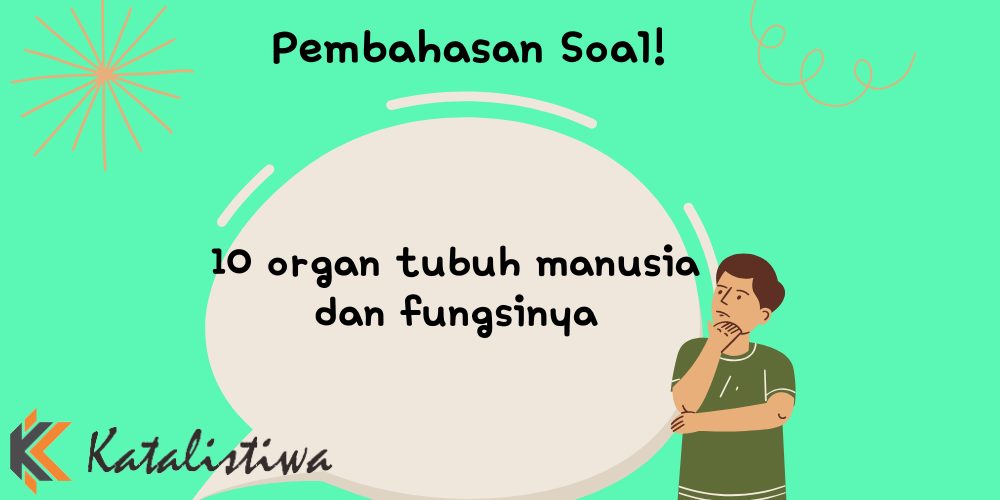 10 organ tubuh manusia dan fungsinya