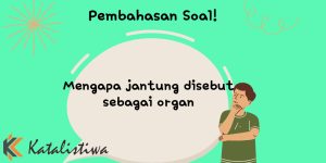 Mengapa jantung disebut sebagai organ ? 1 Mengapa jantung disebut sebagai organ
