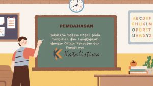 Sebutkan Sistem Organ pada Tumbuhan dan Lengkapilah dengan Organ Penyusun dan Fungsi nya