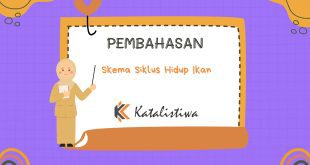 Skema Siklus Hidup Ikan
