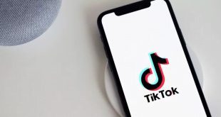 Download Video TikTok