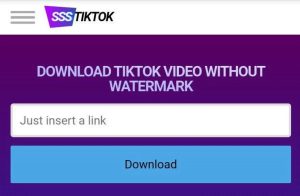 Download Video TikTok