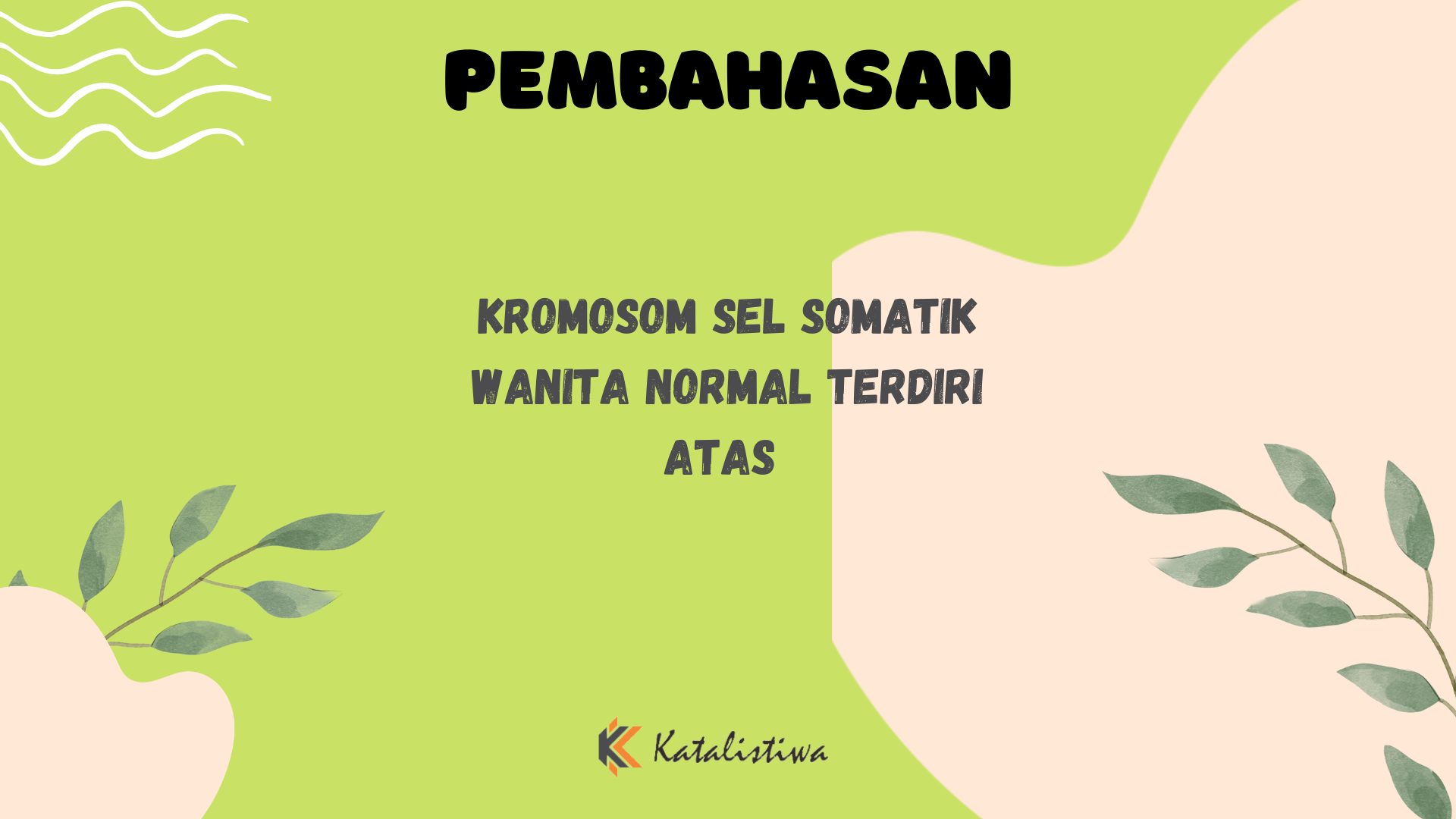 Kromosom Sel Somatik Wanita Normal Terdiri Atas