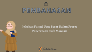 Jelaskan Fungsi Usus Besar Dalam Proses Pencernaan Pada Manusia