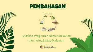 Jelaskan Pengertian Rantai Makanan dan Jaring Jaring Makanan