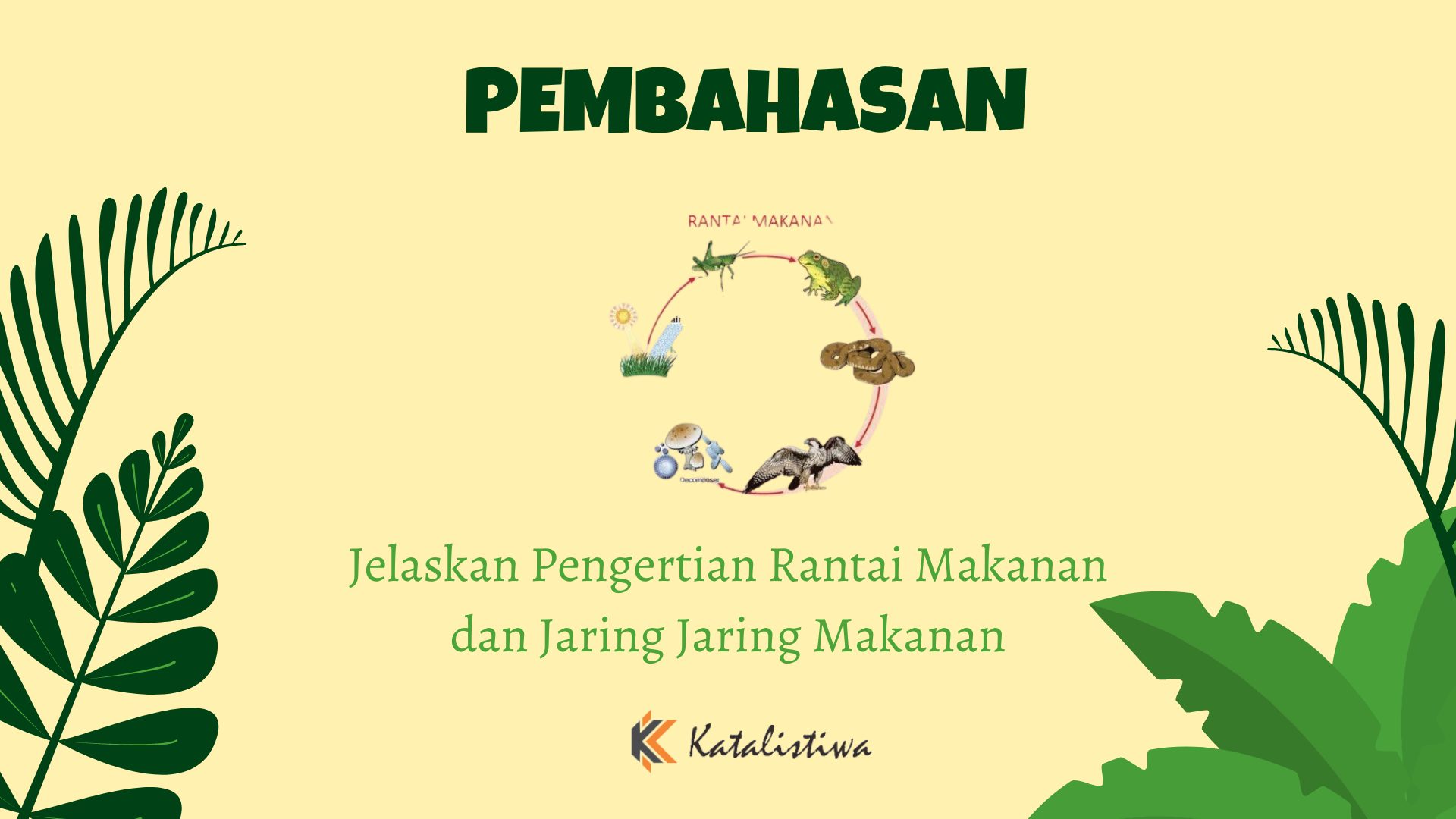 Jelaskan Pengertian Rantai Makanan dan Jaring Jaring Makanan