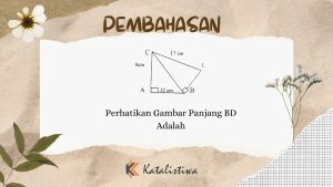 Perhatikan Gambar Panjang BD Adalah