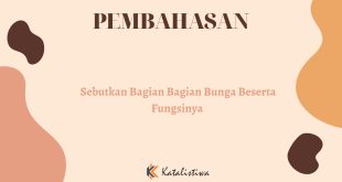 Sebutkan Bagian Bagian Bunga Beserta Fungsinya