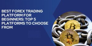 Best Forex Trading Platform for Beginners: Top 5 Platforms to Choose From 1 Best Forex Trading Platform for Beginners: Top 5 Platforms to Choose From