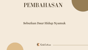 Sebutkan Daur Hidup Nyamuk