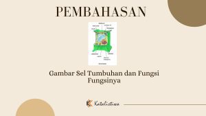 Gambar Sel Tumbuhan dan Fungsi Fungsinya
