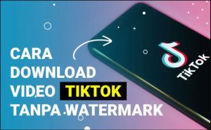 Download Video Tiktok Tanpa Watermark 
