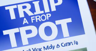 Make Smart Trading Decisions with Forex.com Copy Trading