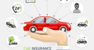 Business Company Car Insurance