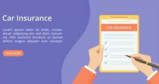 Car Insurance Quotes