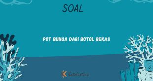 Pot Bunga dari Botol Bekas