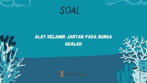 Alat Kelamin Jantan pada Bunga adalah