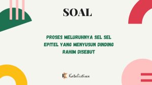 Proses Meluruhnya Sel-sel Epitel yang Menyusun Dinding Rahim