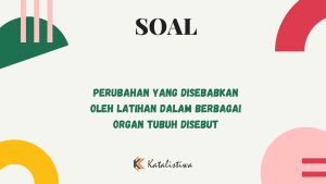 Perubahan yang Disebabkan oleh Latihan dalam Berbagai Organ Tubuh