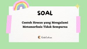 Contoh Hewan yang Mengalami Metamorfosis Tidak Sempurna