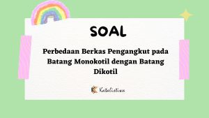Perbedaan Berkas Pengangkut pada Batang Monokotil dengan Batang Dikotil