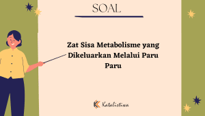Zat Sisa Metabolisme yang Dikeluarkan Melalui Paru Paru