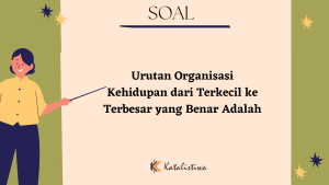 Urutan Organisasi Kehidupan dari Terkecil ke Terbesar yang Benar Adalah