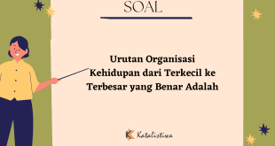 Urutan Organisasi Kehidupan dari Terkecil ke Terbesar yang Benar Adalah