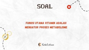 Fungsi Utama Vitamin Adalah Mengatur Proses Metabolisme