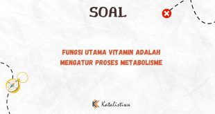 Fungsi Utama Vitamin Adalah Mengatur Proses Metabolisme