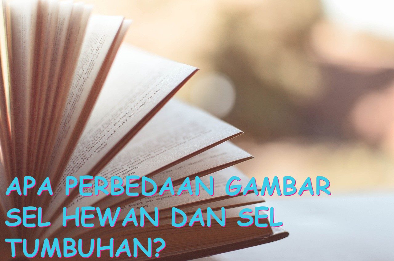 Apa Perbedaan Gambar Sel Hewan dan Sel Tumbuhan?