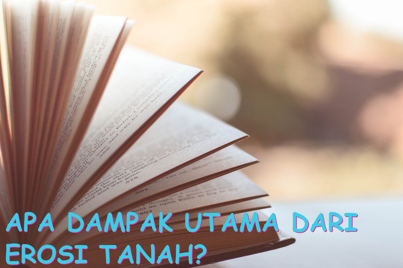 Apa Dampak Utama dari Erosi Tanah?