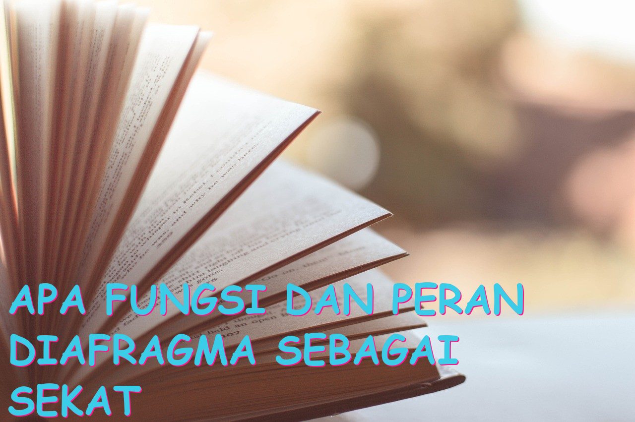 Apa Fungsi dan Peran Diafragma sebagai Sekat Pembatas?
