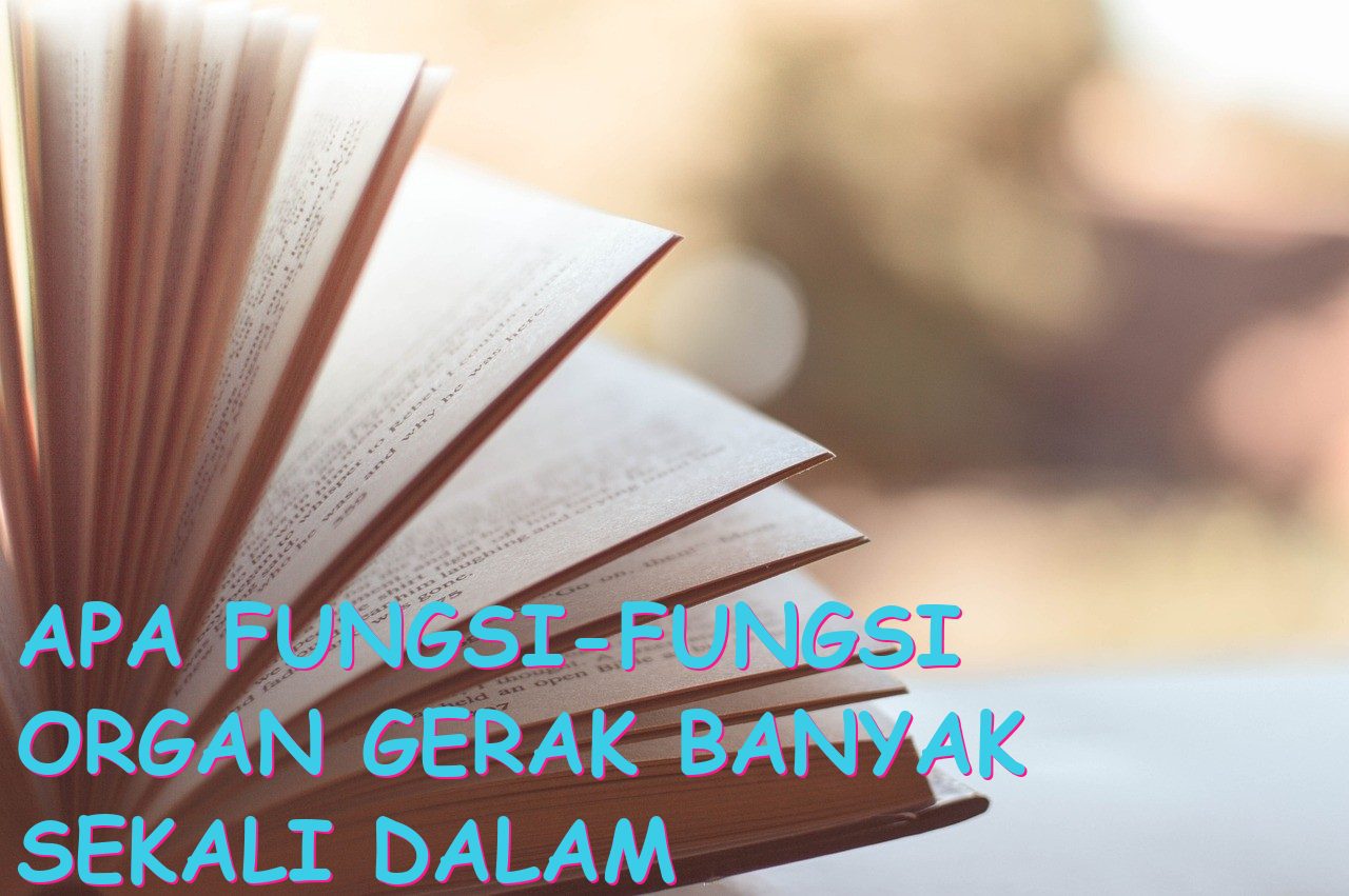 Apa Fungsi-Fungsi Organ Gerak Banyak Sekali dalam Tubuh Manusia?