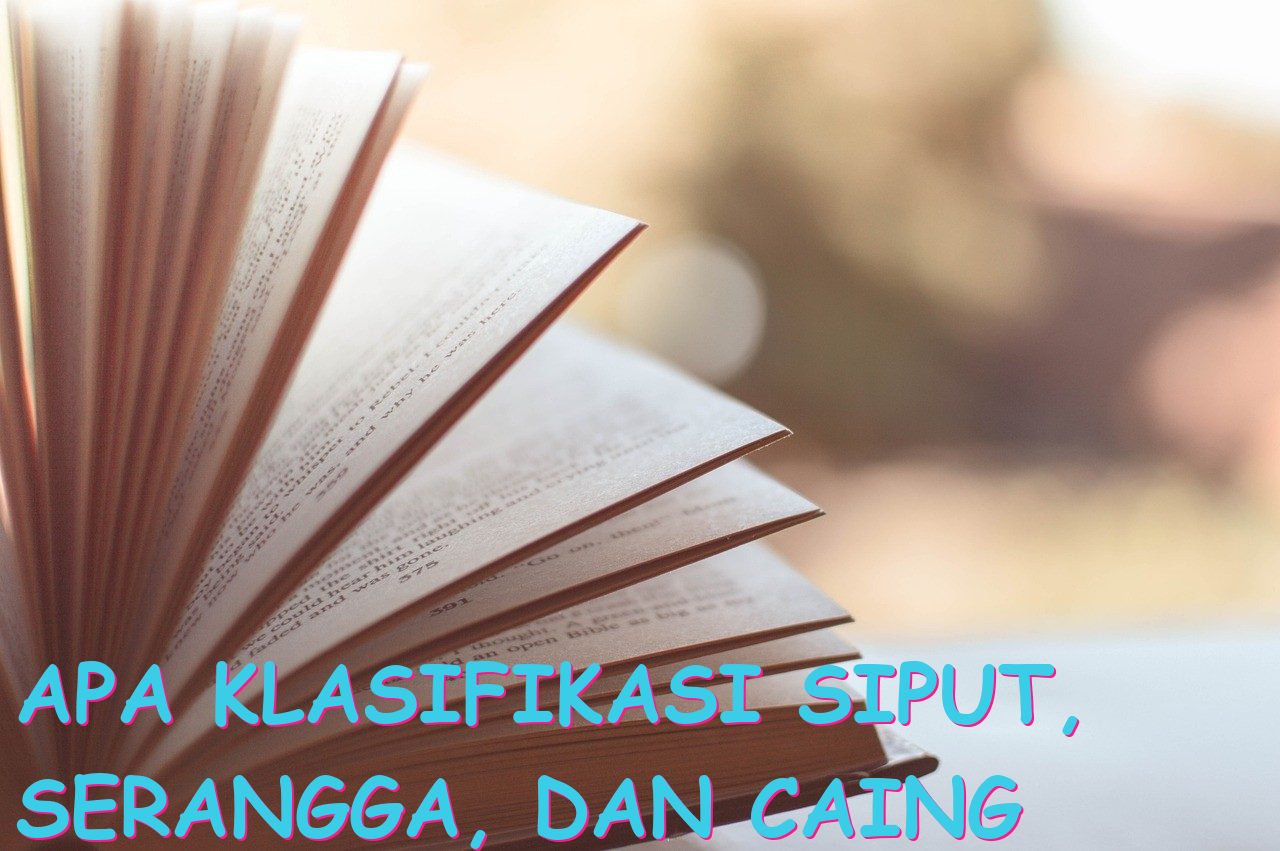 Apa Klasifikasi Siput, Serangga, dan Caing sebagai Hewan?