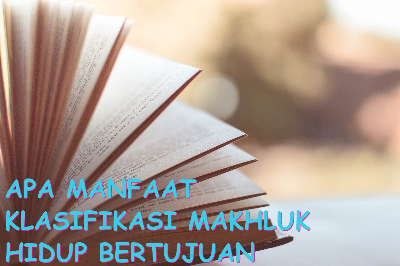 Apa Manfaat Klasifikasi Makhluk Hidup Bertujuan untuk Ekosistem?