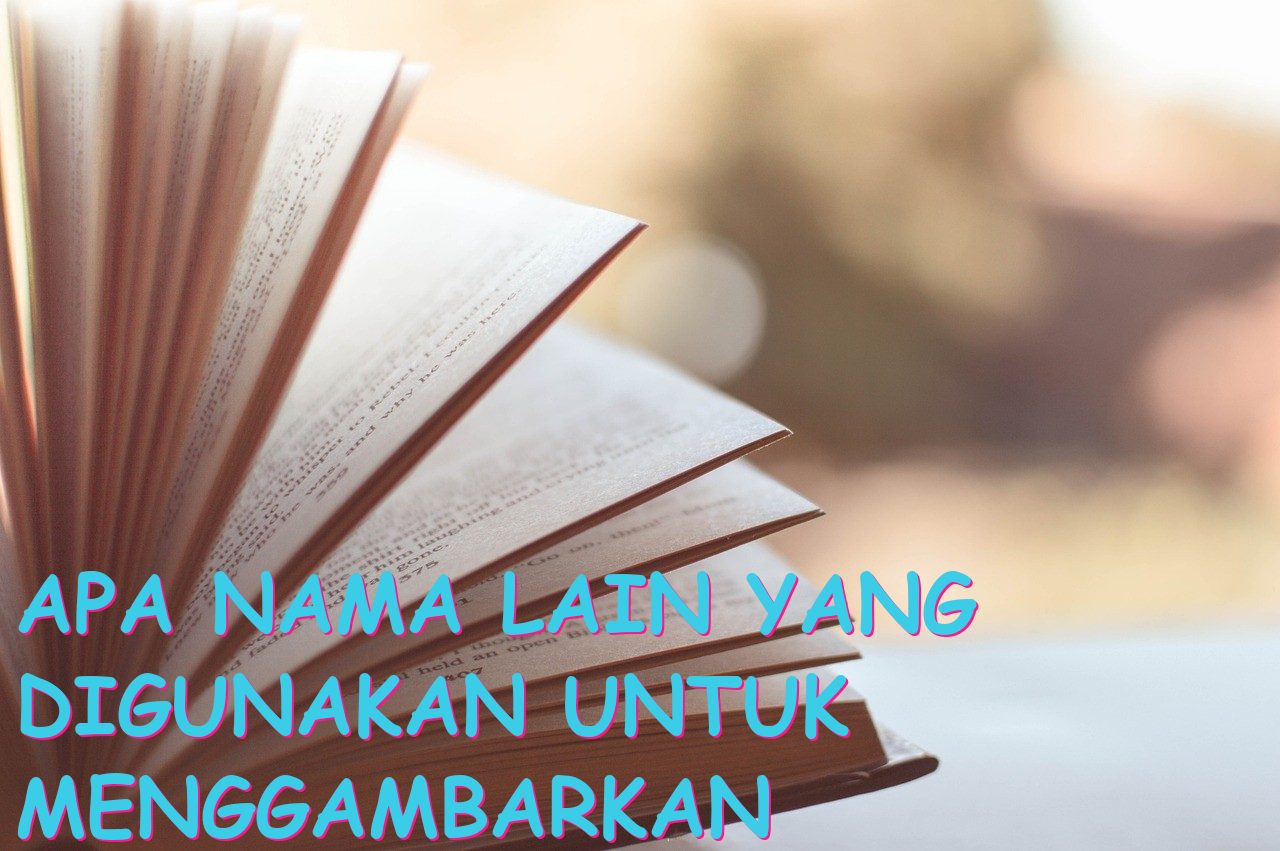Apa Nama Lain yang Digunakan untuk Menggambarkan Flowchart?
