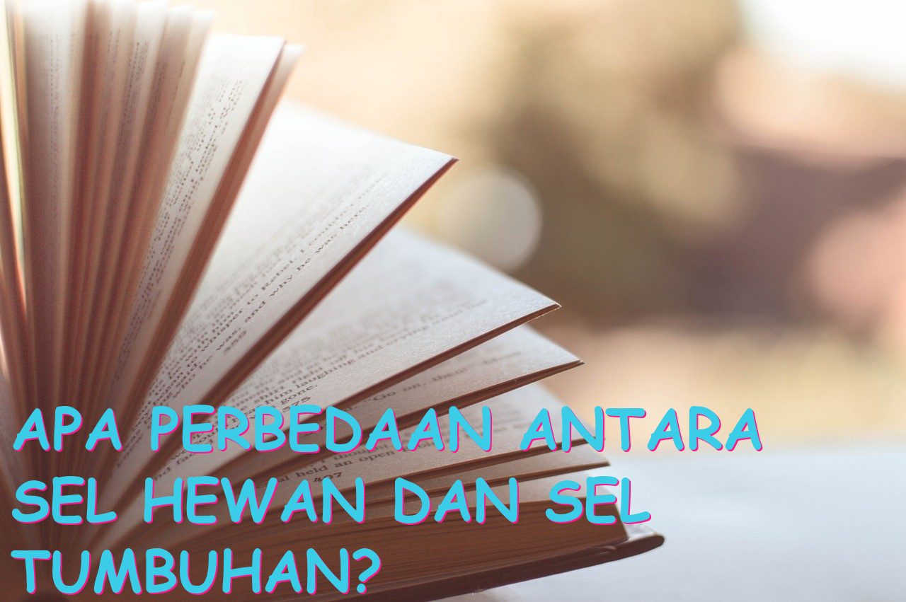 Apa Perbedaan Antara Sel Hewan dan Sel Tumbuhan?