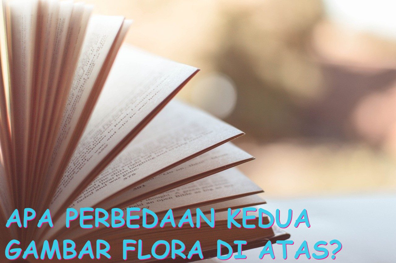 Apa Perbedaan Kedua Gambar Flora di Atas?